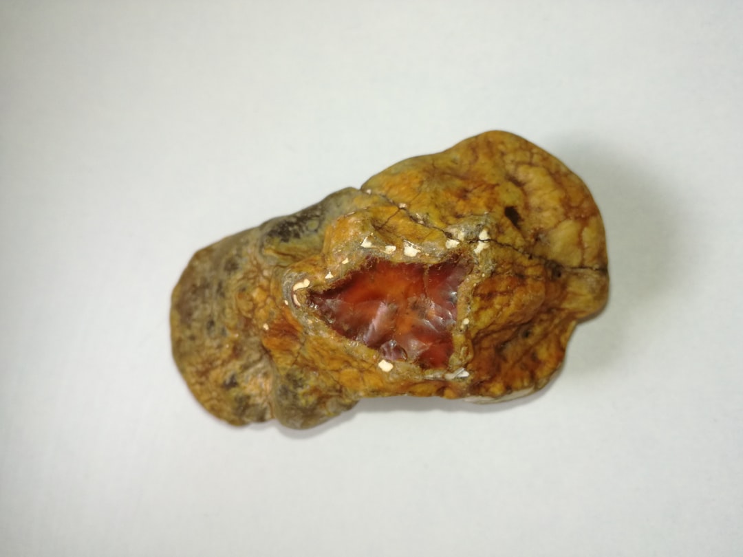 Böbrek kumuna ne iyi gelir konusunda görsel