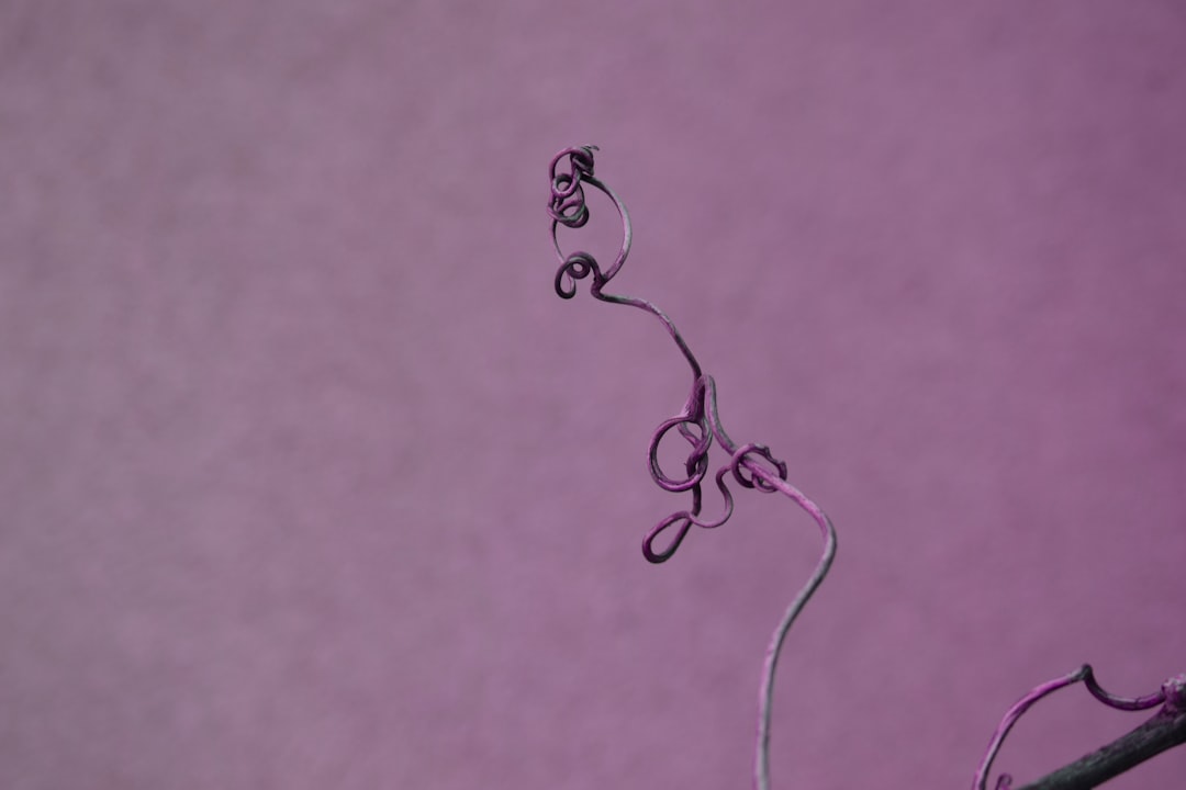 Kısırlığa ne iyi gelir ile ilgili görsel