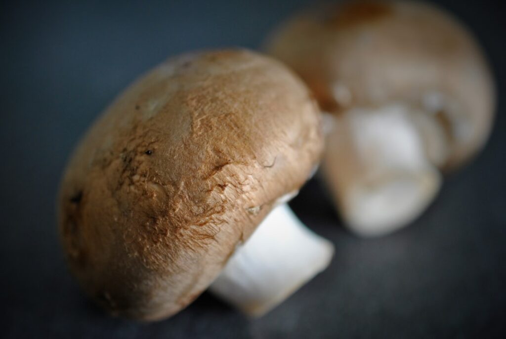 Kemik erimesine (osteoporoz) ne iyi gelir görseli