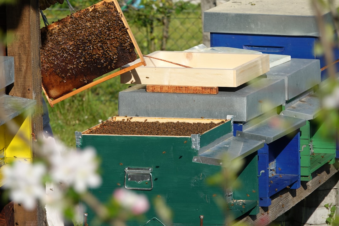 Kurdeşene ne iyi gelir ile ilgili görsel