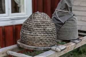 Kurdeşene ne iyi gelir görseli