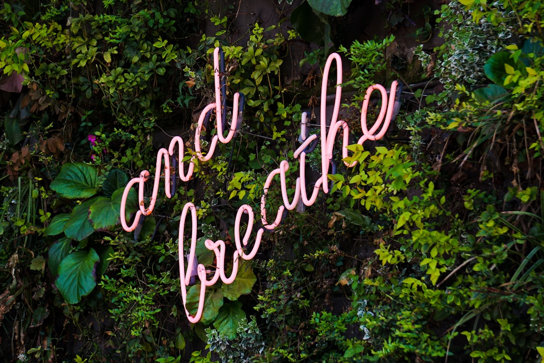 Panik atağa ne iyi gelir konusunda görsel