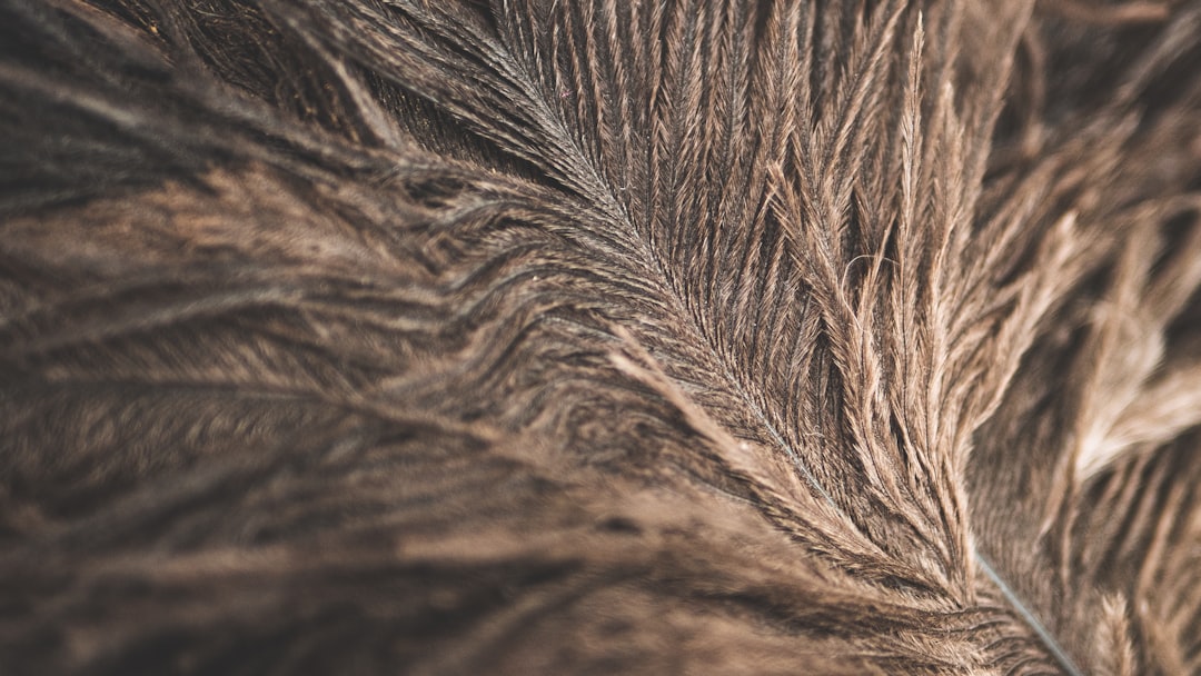 Saç dökülmesine ne iyi gelir görseli