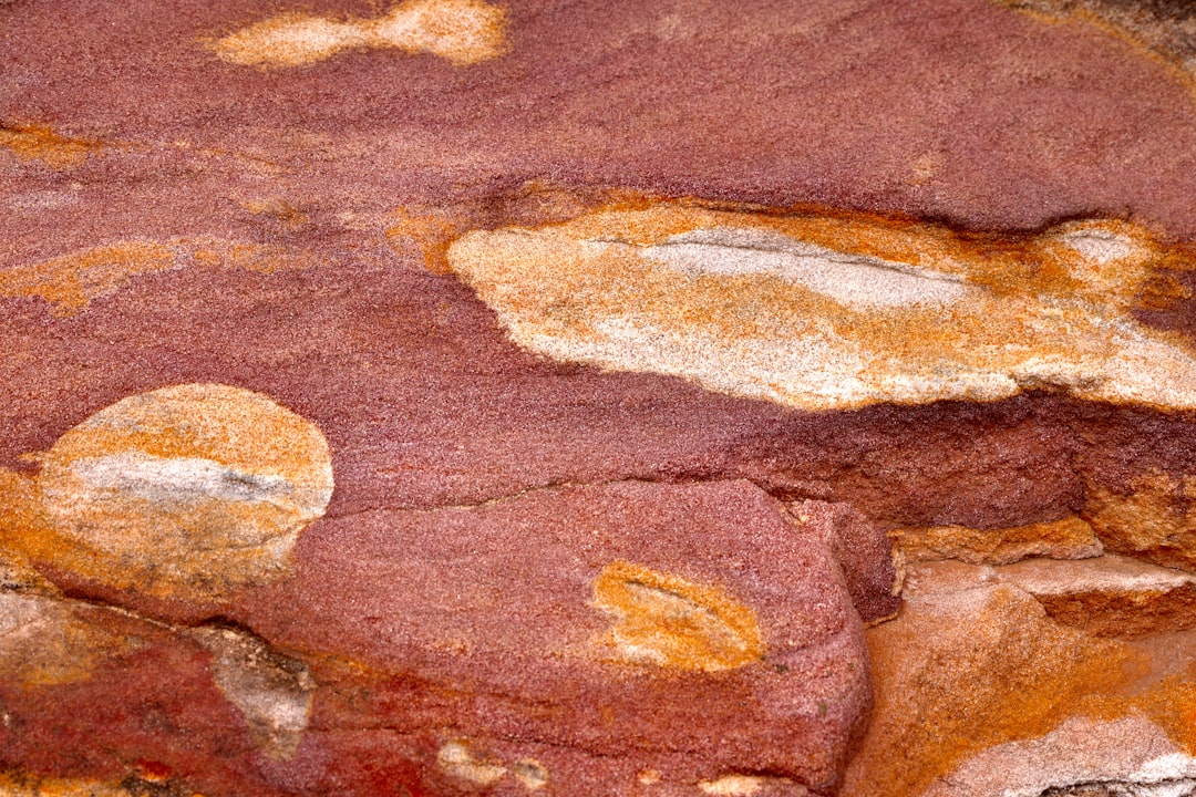 Safra taşı düşürmeye ne iyi gelir konusunda görsel