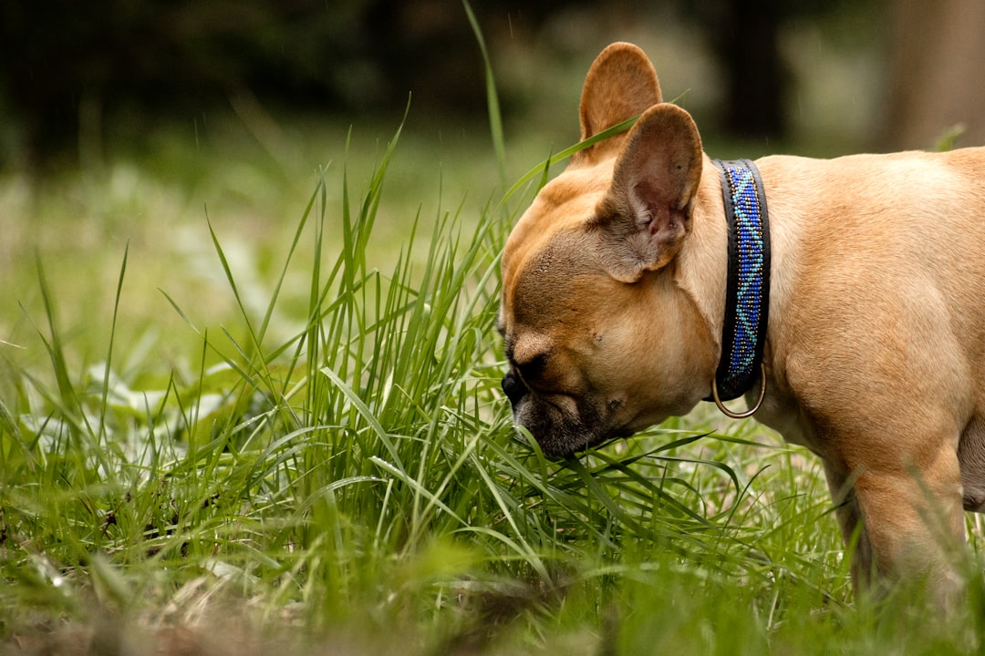 Stres kaynaklı mide ağrısına ne iyi gelir konusunda görsel