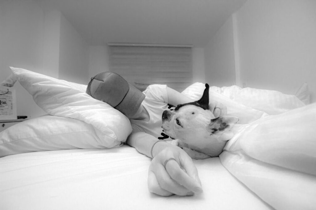 Uyku apnesine ne iyi gelir görseli