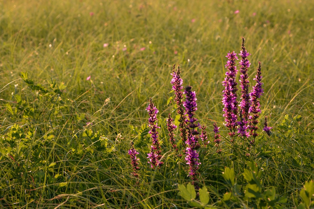 Vajinal kaşıntıya ne iyi gelir ile ilgili görsel
