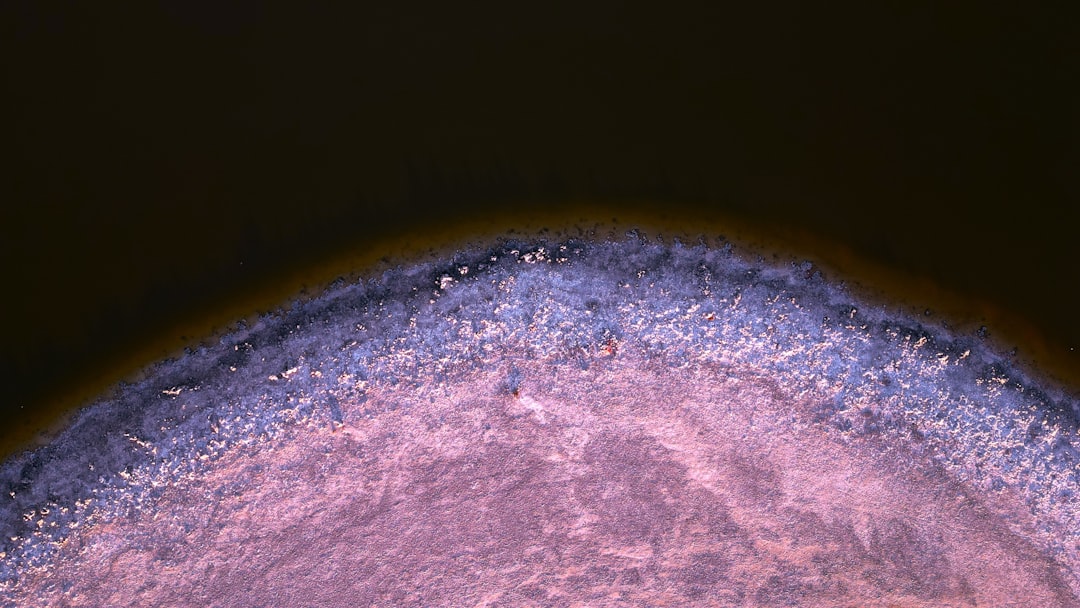 Yumurtalık kistine ne iyi gelir konusunda görsel