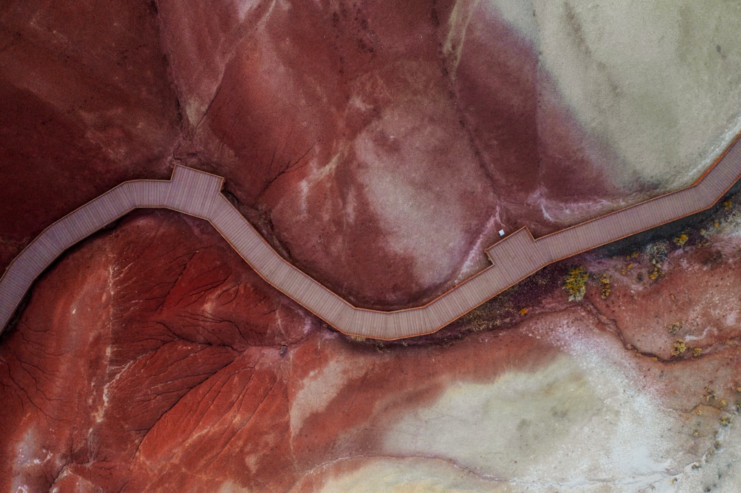 Yumurtalık kistine ne iyi gelir görseli