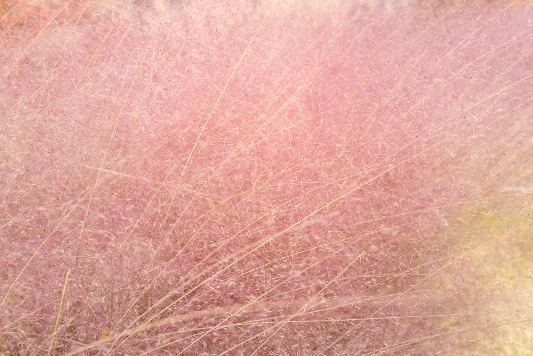 Zonaya ne iyi gelir ile ilgili görsel