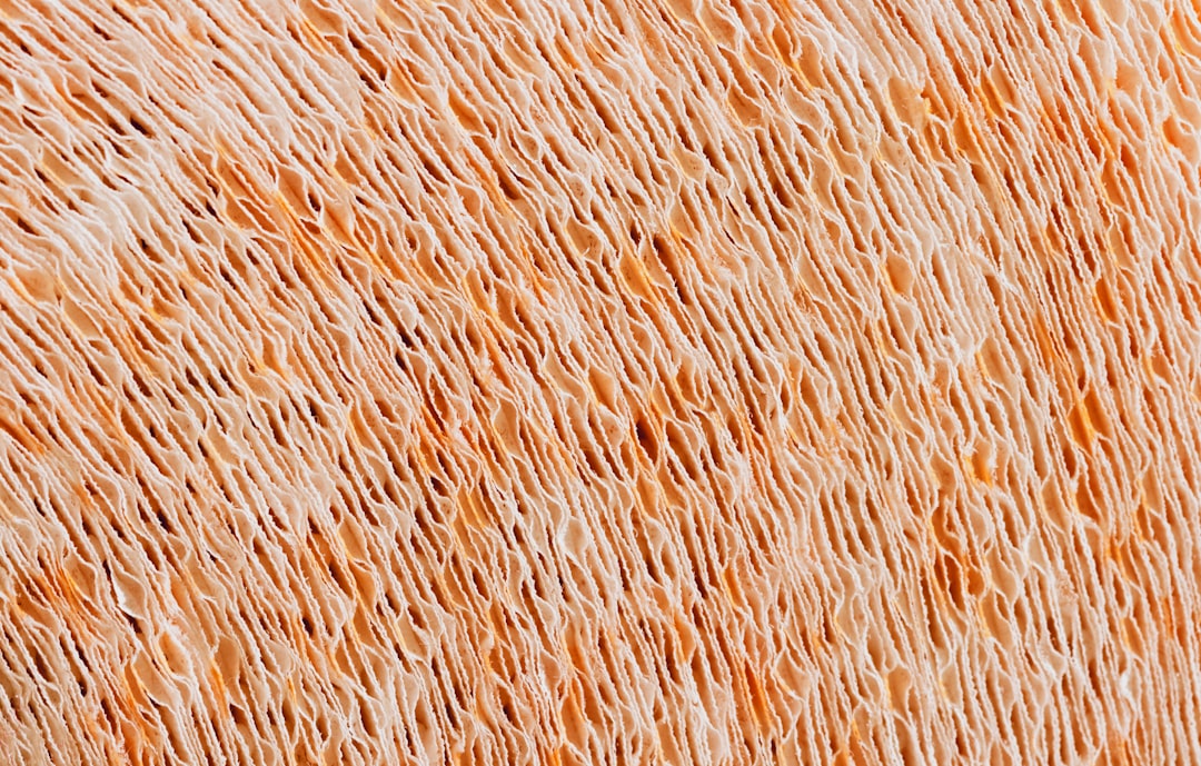 Zonaya ne iyi gelir konusunda görsel