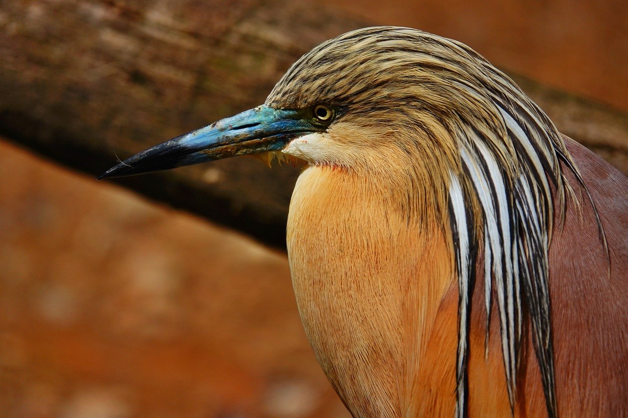 Göz nezlesine ne iyi gelir Görsel 1 gözüne ılık kompres uygularken.